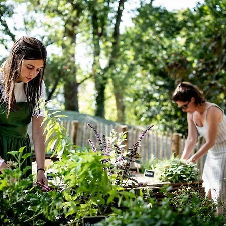 Les D'ostende Ostend