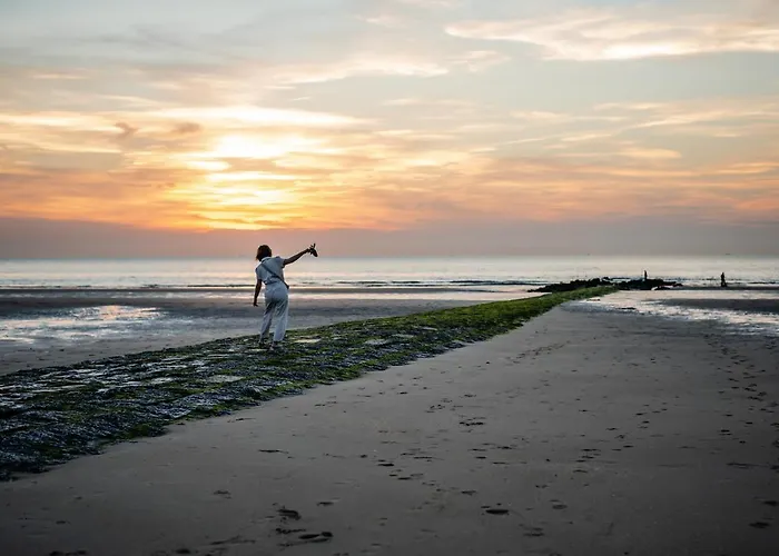 Отель Les D'ostende