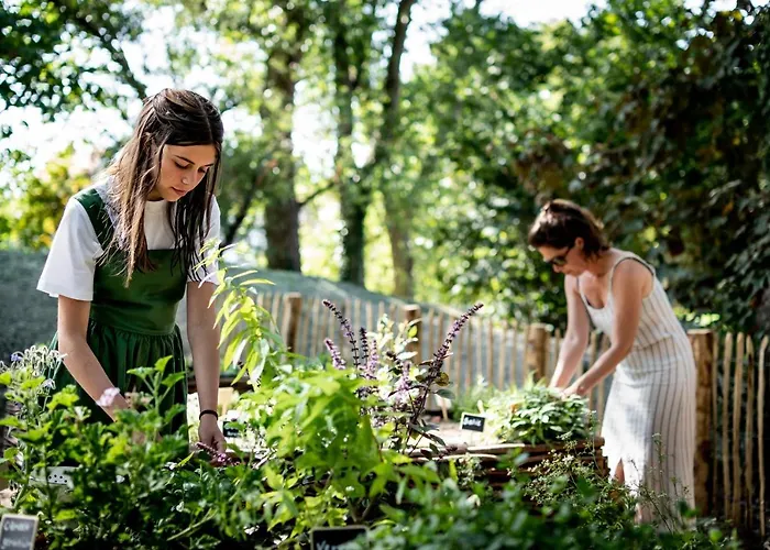 Les D'ostende Остенде