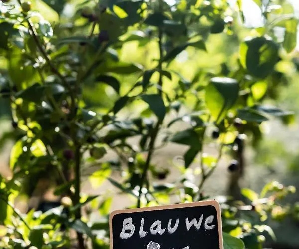 Les D'ostende Отель