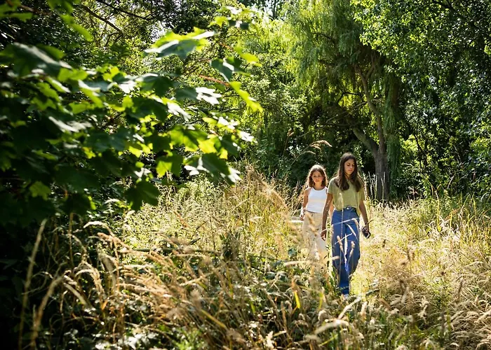 Les D'ostende Остенде