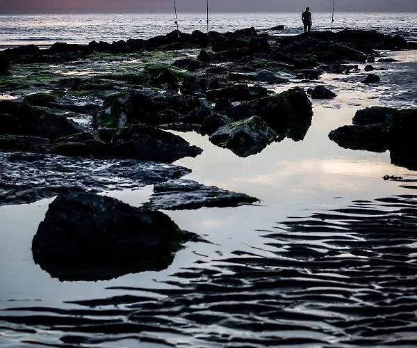 Les D'ostende Отель Остенде