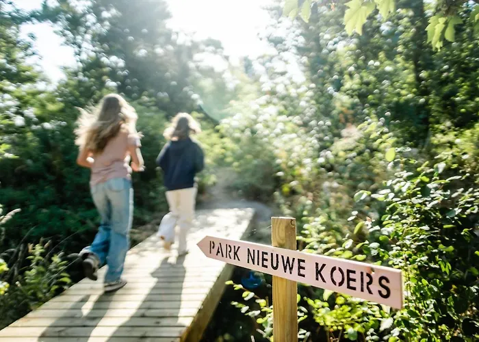 Les D'ostende 4* Остенде