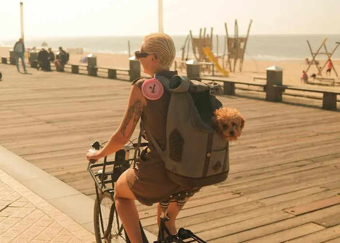 Les D'ostende Остенде