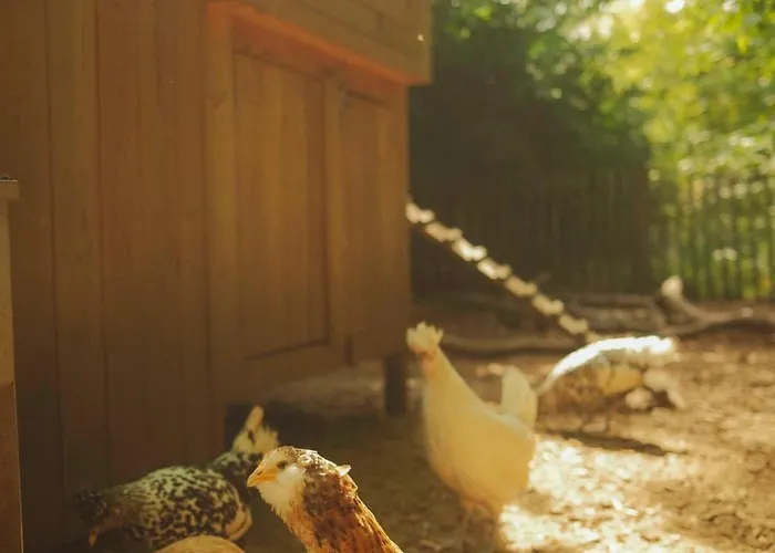 Hotel Les D'ostende Ostende